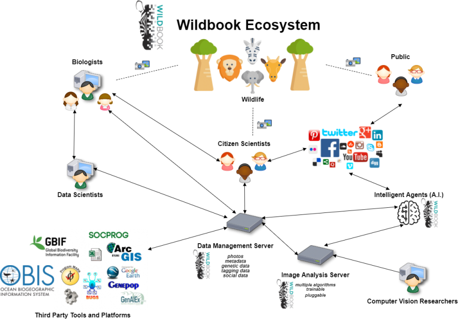 Wildbook Component Flowchart